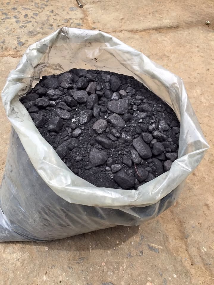 Ensuring Accurate Sampling with Plant Bias Tests